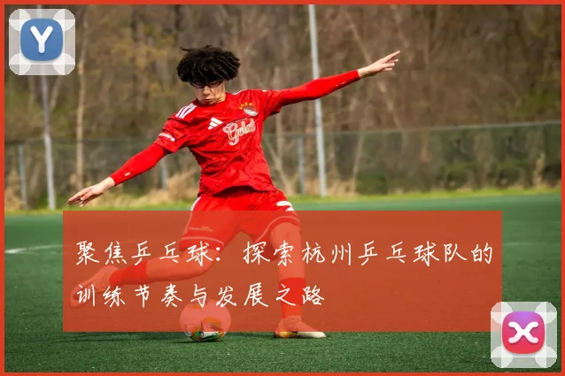 聚焦乒乓球：探索杭州乒乓球队的训练节奏与发展之路