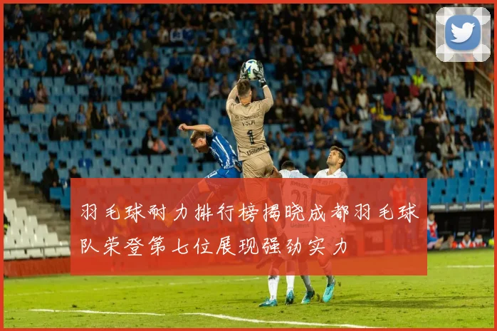 羽毛球耐力排行榜揭晓成都羽毛球队荣登第七位展现强劲实力