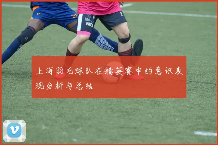 上海羽毛球队在精英赛中的意识表现分析与总结