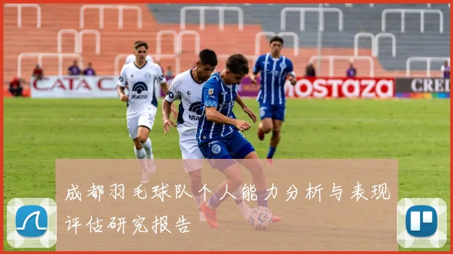 成都羽毛球队个人能力分析与表现评估研究报告