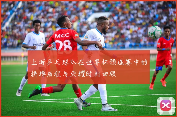 上海乒乓球队在世界杯预选赛中的拼搏历程与荣耀时刻回顾