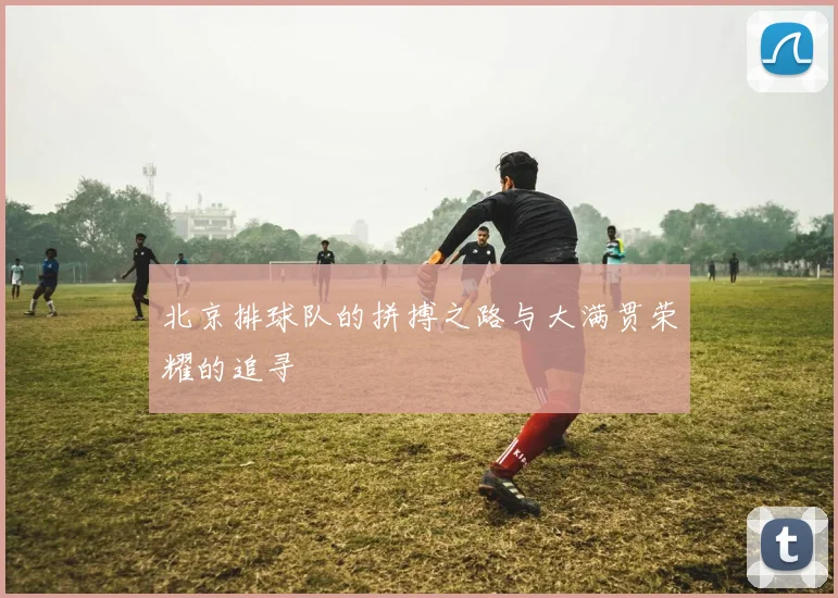 北京排球队的拼搏之路与大满贯荣耀的追寻
