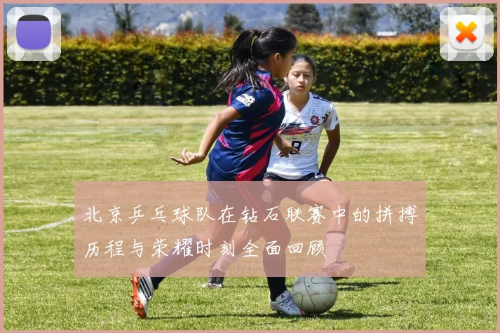 北京乒乓球队在钻石联赛中的拼搏历程与荣耀时刻全面回顾