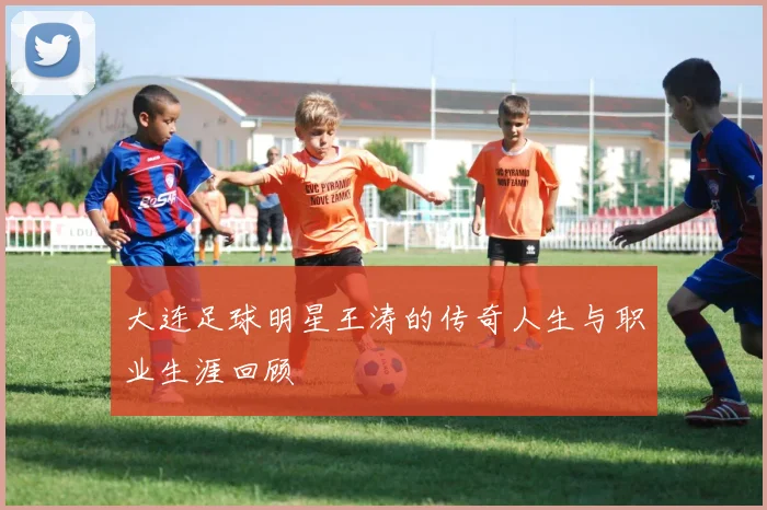 大连足球明星王涛的传奇人生与职业生涯回顾