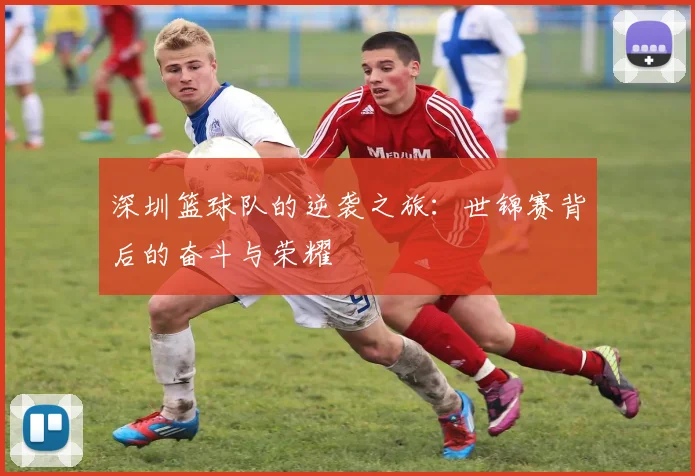 深圳篮球队的逆袭之旅：世锦赛背后的奋斗与荣耀